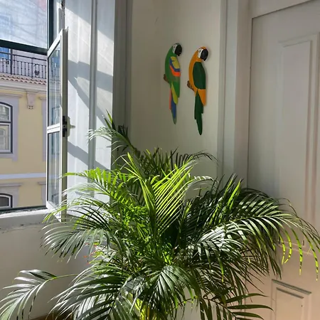 Chiado Гостьовий будинок